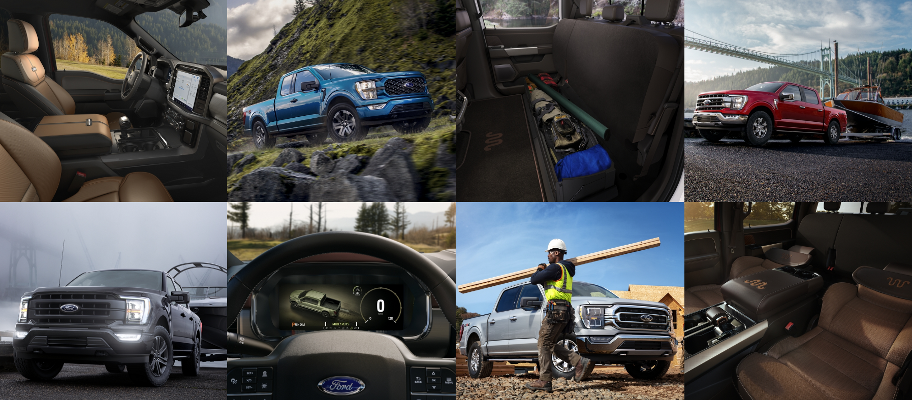 2021 Ford F-150 Collage