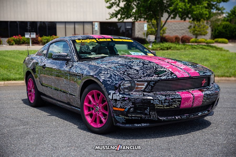 Cancer Awareness Pink and Black Ford Mustang Gwinnivere