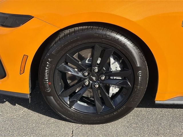 2026 Ford Mustang GT SC TFP CUSTOMS