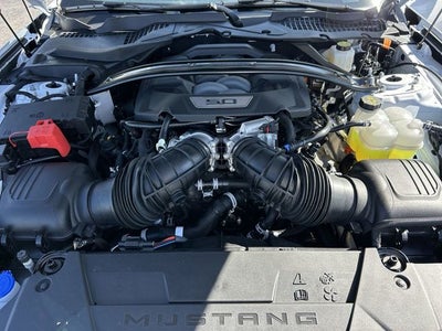 2025 Ford Mustang Dark Horse