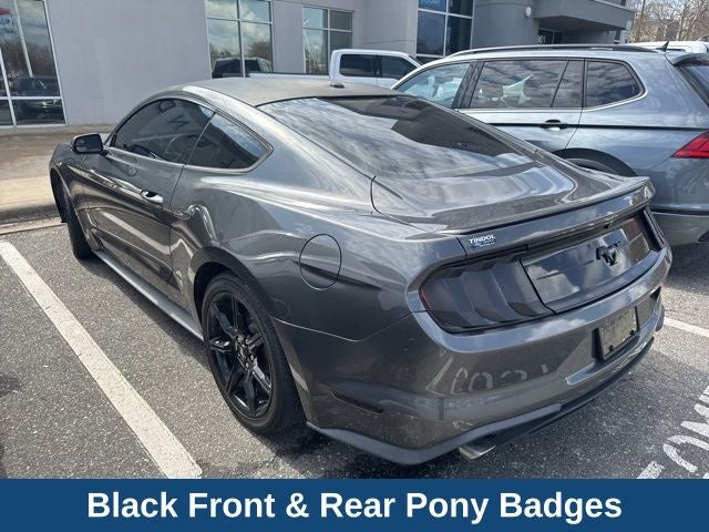 2019 Ford Mustang EcoBoost