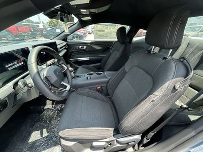 2025 Ford Mustang EcoBoost