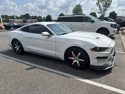 2019 Ford Mustang EcoBoost