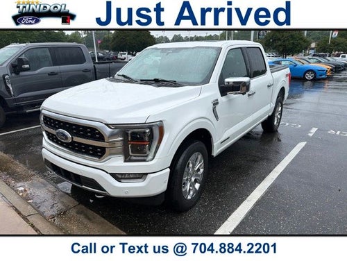 2023 Ford F-150 Platinum