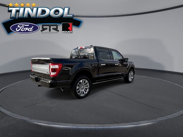 2023 Ford F-150 Limited
