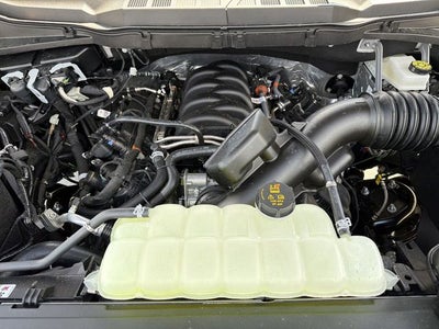 2026 Ford F-150 TFP Custom LODNIT MONSTER