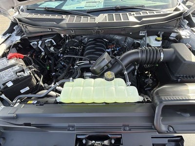 2026 Ford F-150 XLT TFP STORM CAT 2