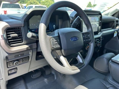 2025 Ford F-150 LODNIT STORM CAT 2