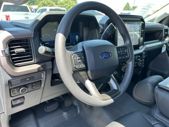 2025 Ford F-150 LODNIT STORM CAT 2