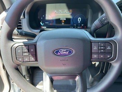 2025 Ford F-150 LODNIT STORM CAT 2