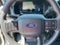 2025 Ford F-150 LODNIT STORM CAT 2