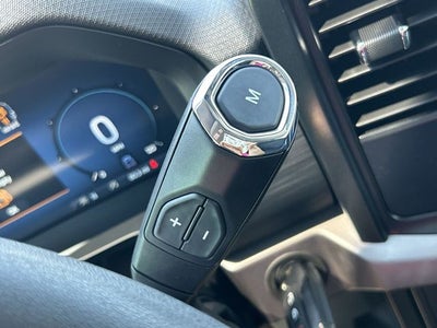 2025 Ford F-150 LODNIT STORM CAT 2