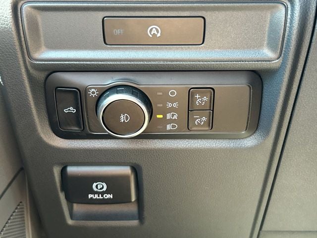 2025 Ford F-150 LODNIT STORM CAT 2