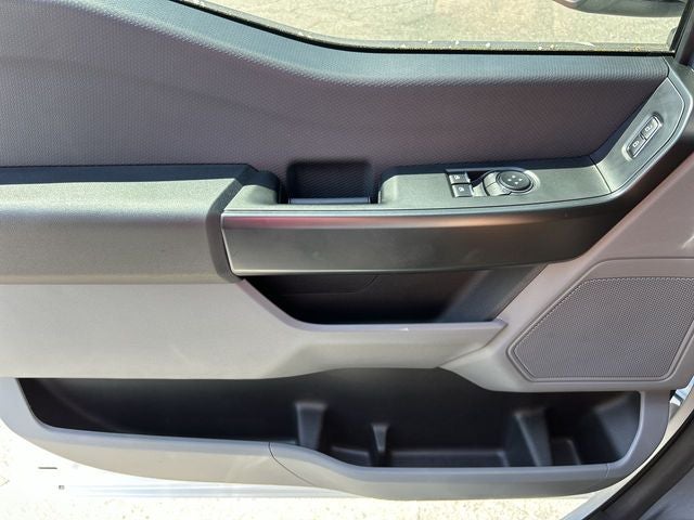 2025 Ford F-150 LODNIT STORM CAT 2