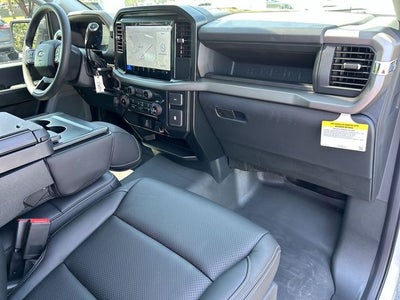 2025 Ford F-150 LODNIT STORM CAT 2