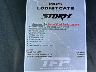2025 Ford F-150 LODNIT STORM CAT 2