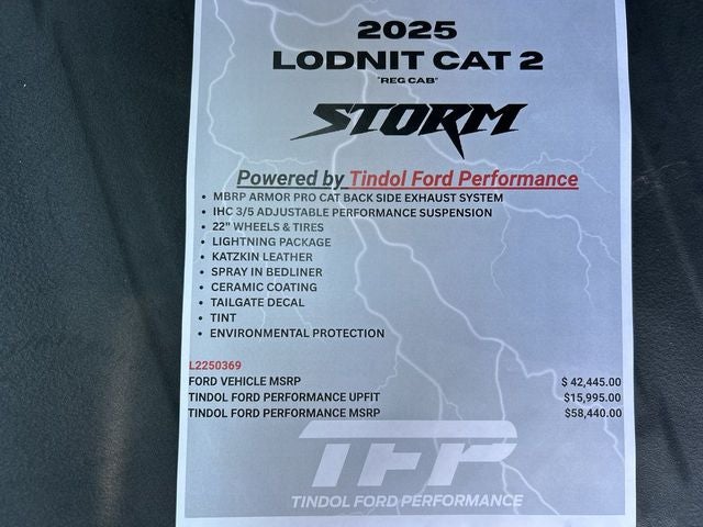 2025 Ford F-150 LODNIT STORM CAT 2