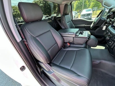 2025 Ford F-150 LODNIT STORM CAT 2