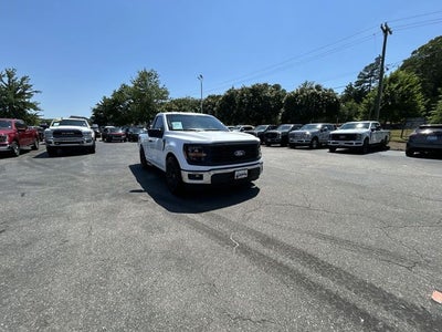 2025 Ford F-150 LODNIT STORM CAT 2