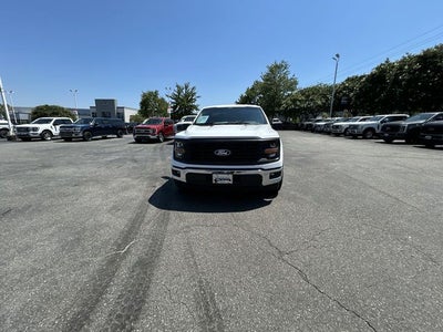 2025 Ford F-150 LODNIT STORM CAT 2