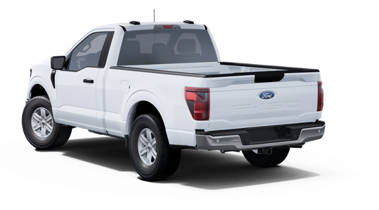 2025 Ford F-150 LODNIT STORM CAT 2