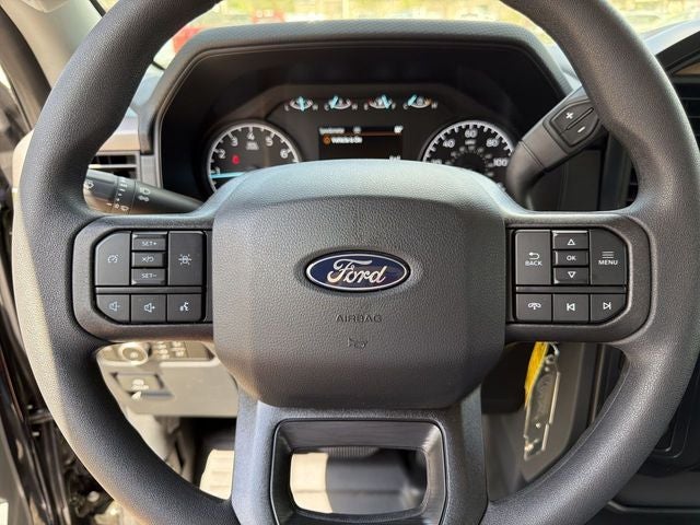 2026 Ford F-150 TFP STORM CAT 2