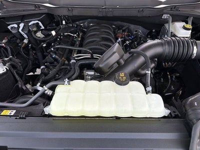 2026 Ford F-150 TFP STORM CAT 2