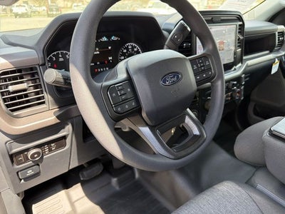 2026 Ford F-150 TFP STORM CAT 2