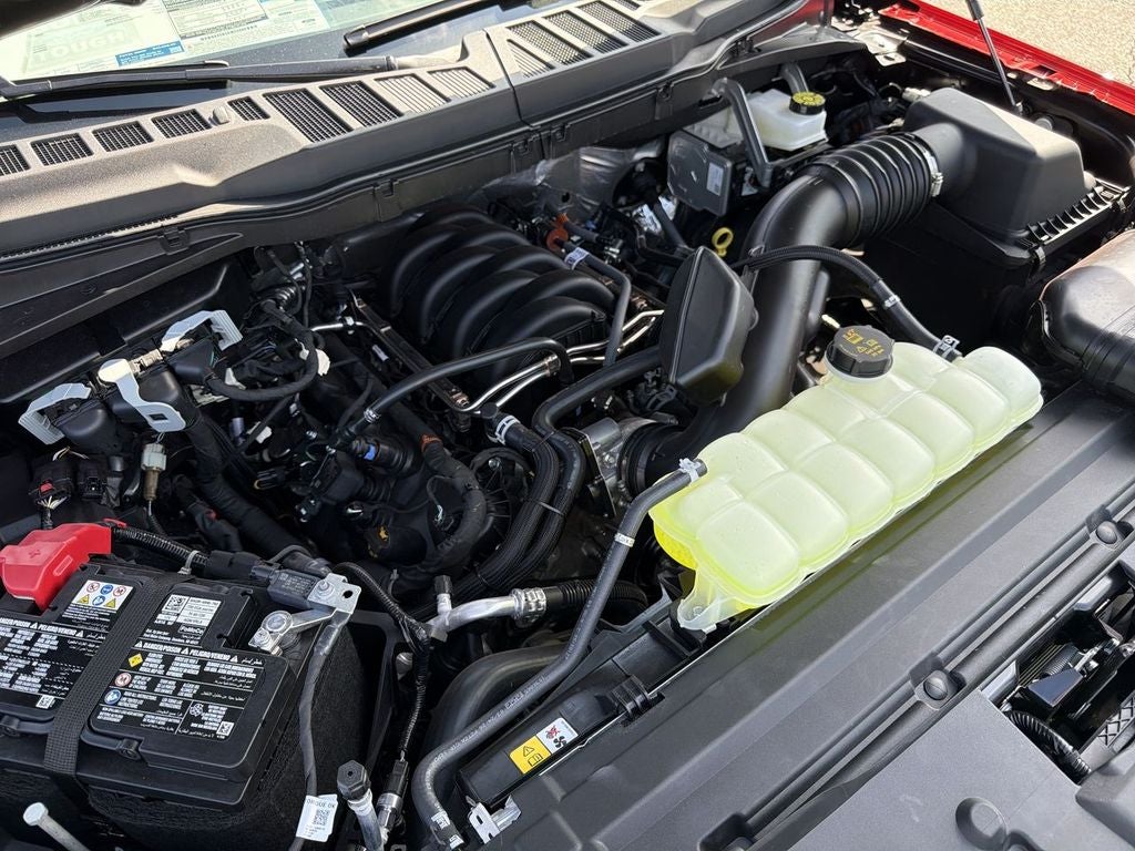 2026 Ford F-150 TFP STORM CAT 2