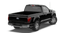 2026 Ford F-150 STORM CAT 2