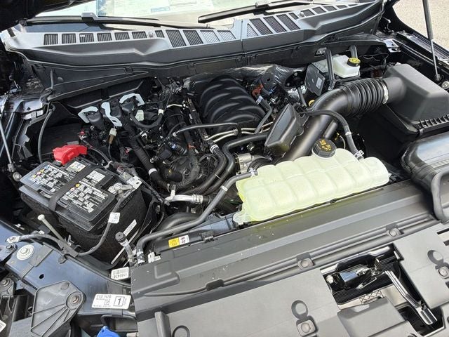 2026 Ford F-150 TFP STORM CAT 2
