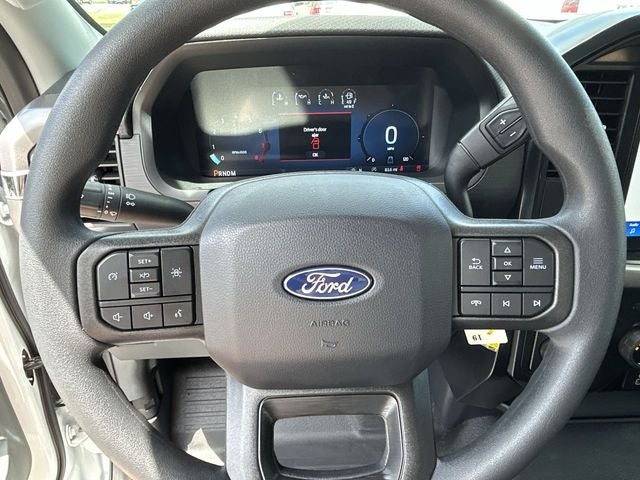 2025 Ford F-150 LODNIT STORM CAT 3 SC