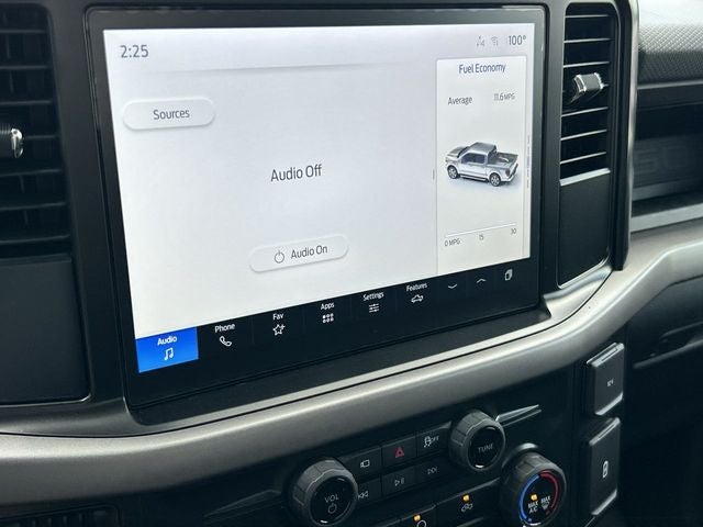 2025 Ford F-150 LODNIT STORM CAT 3 SC