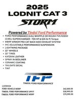 2025 Ford F-150 LODNIT STORM CAT 3 SC