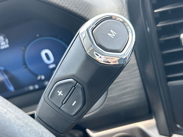 2025 Ford F-150 LODNIT STORM CAT 3 SC