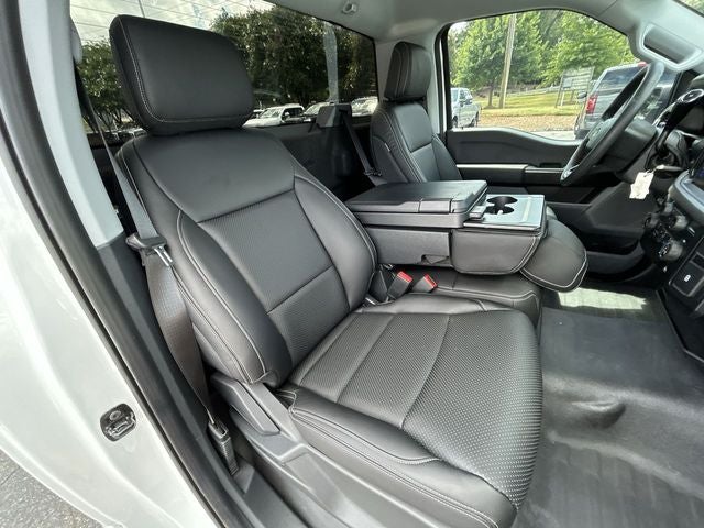 2025 Ford F-150 LODNIT STORM CAT 3 SC