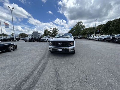 2025 Ford F-150 LODNIT STORM CAT 3 SC