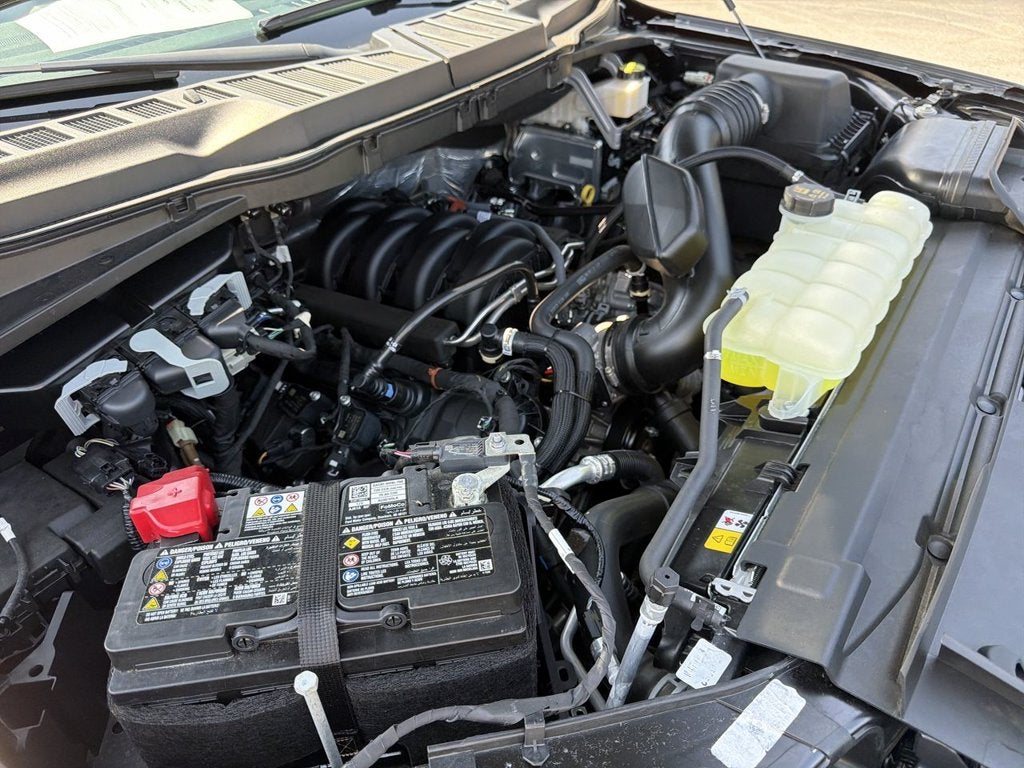2024 Ford F-150 TFP STORM CAT 2