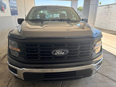 2024 Ford F-150 TFP STORM CAT 2