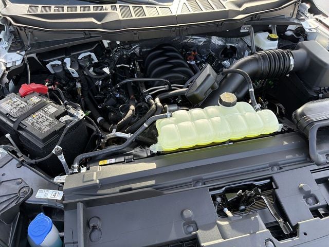 2026 Ford F-150 ROUSH F-150 NITEMARE