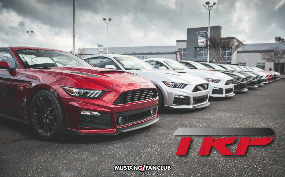 ROUSH Mustangs for Sale
