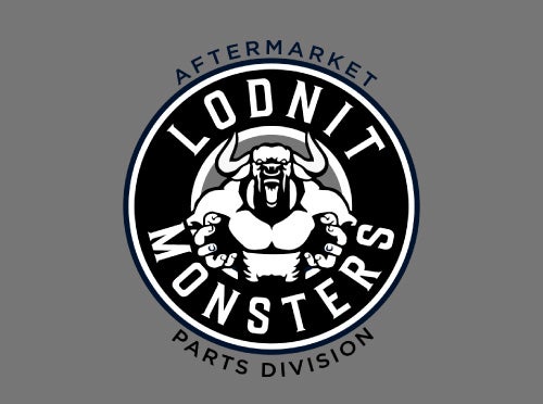 Customized Ford Trucks for Sale